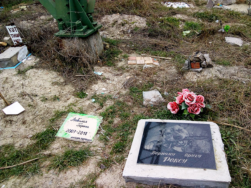 Фоторепортаж с кладбища домашних животных в Херсоне: на Острове обустроили могилы любимцев 