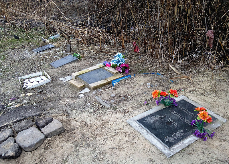 Фоторепортаж с кладбища домашних животных в Херсоне: на Острове обустроили могилы любимцев 