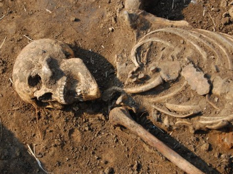 На Херсонщине отыскался «берег скелетов»
