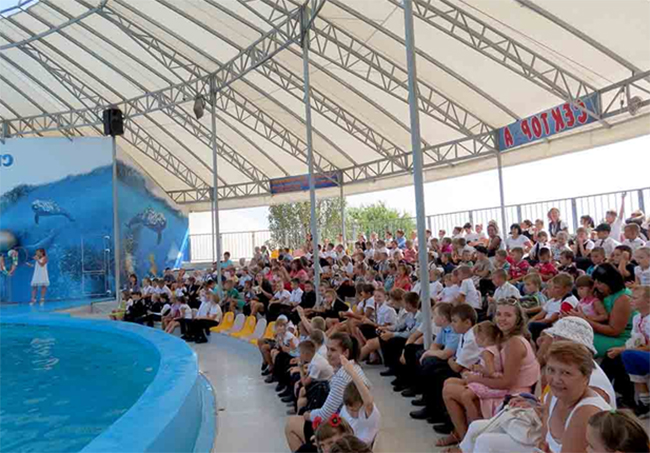 У Скадовську побачити дельфінів діти зможуть задешево 