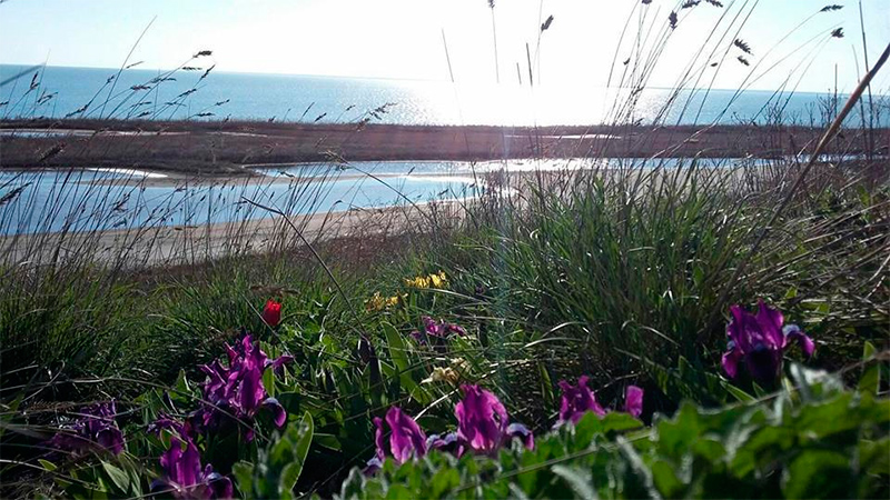 Уникальные острова Херсонщины