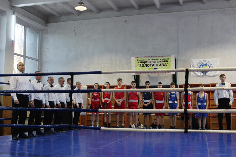 В Олешках соревнуются лучшие боксеры Херсонщины