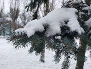 Прогноз погоды на выходные 29–30 января: второй месяц зимы прощается мокрым снегом