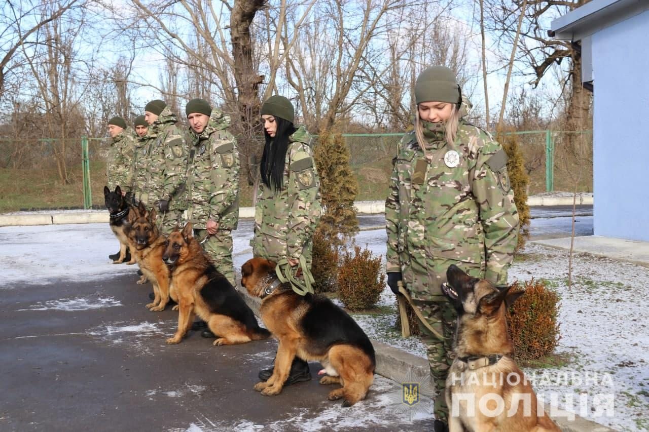 Херсонщина, собаки, служба