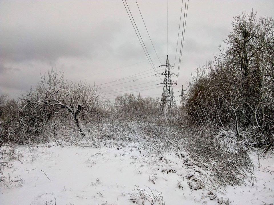 Снегопад на Херсонщине превратился в стихийное бедствие