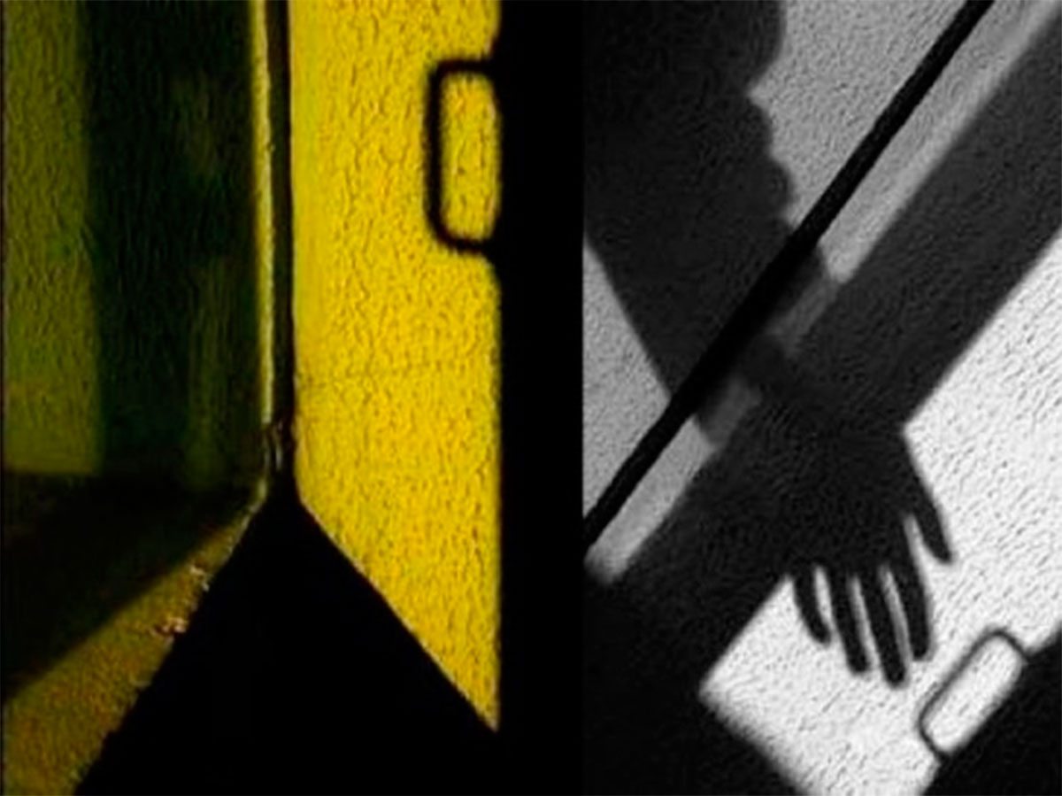 Новая Каховка, кража, Яновский