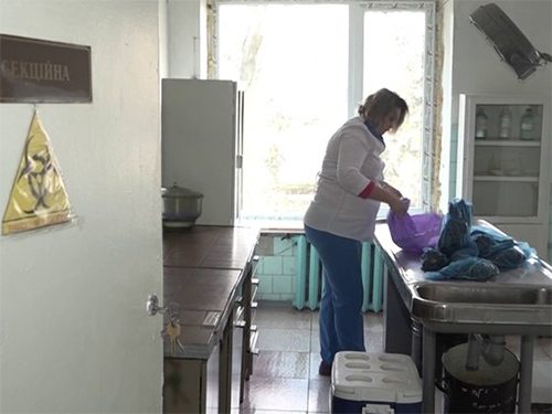 птахи, загибель, каховка