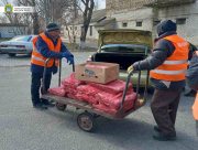 Херсонці відгукнулися на заклик допомогти диким тваринам