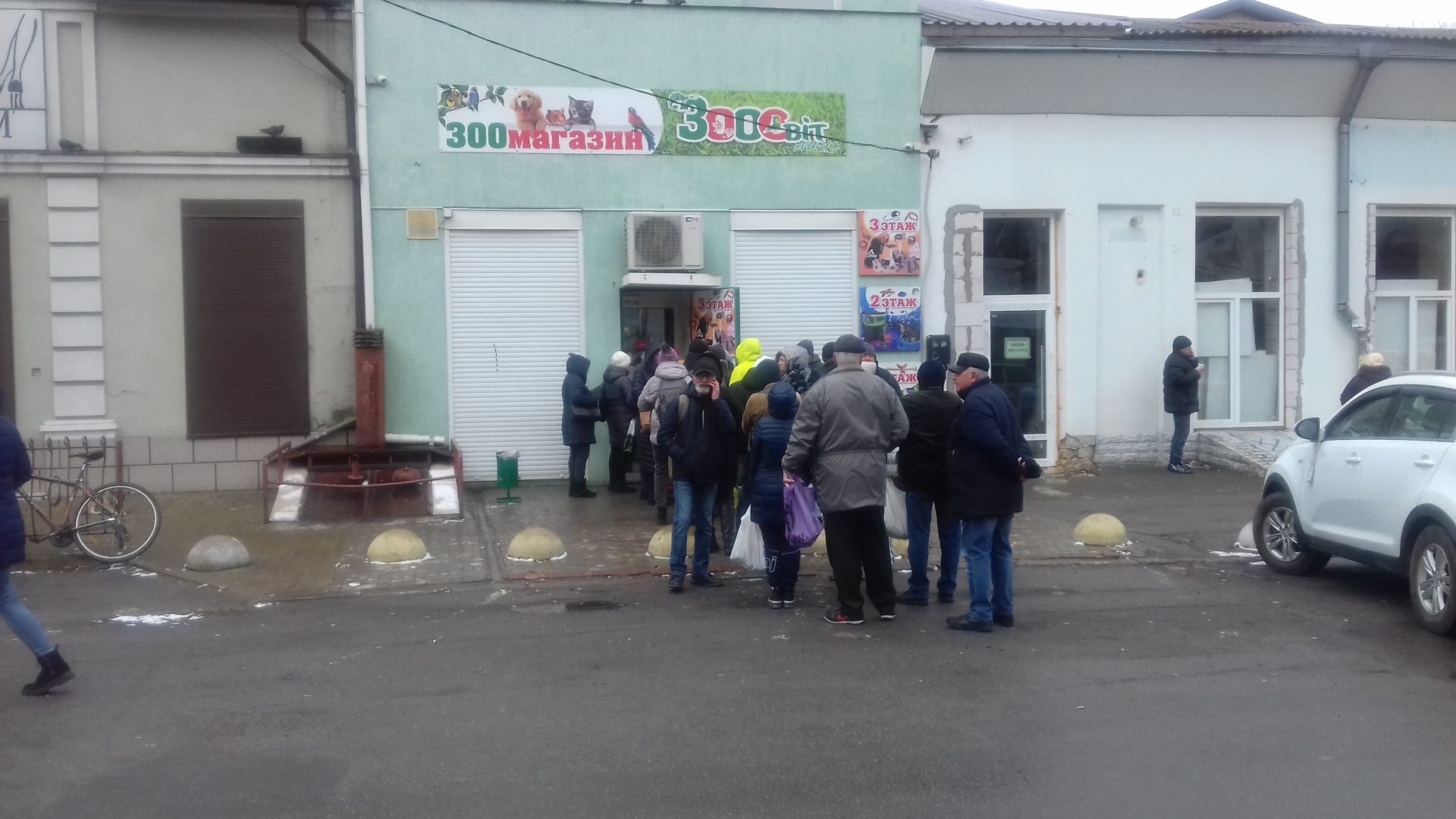 Херсон, домашние, любимцы