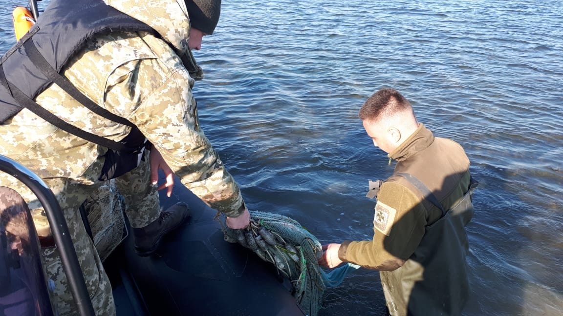Джарылгач,Скадовск,браконьеры,пограничники