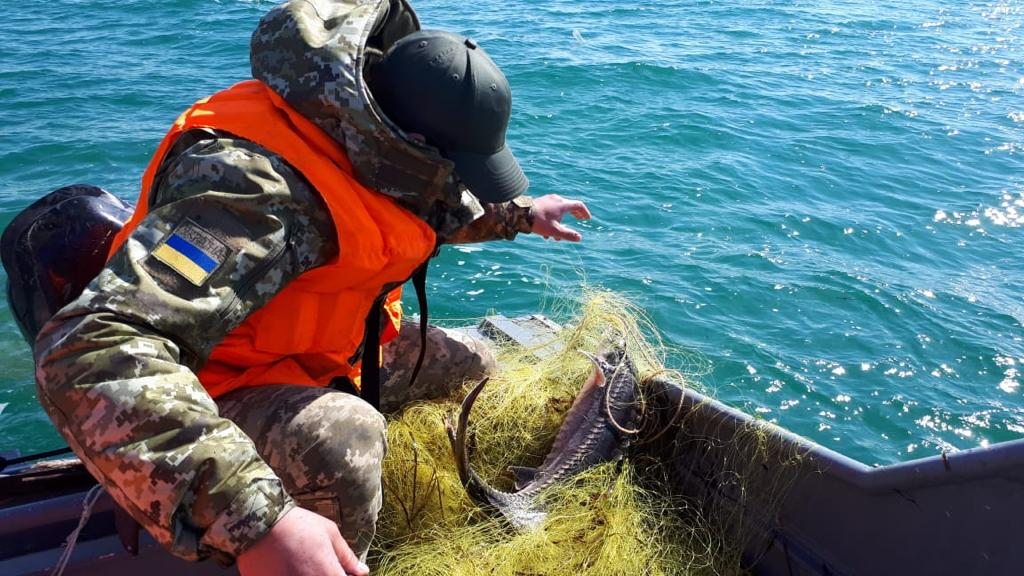 пограничники, браконьеры, сетка