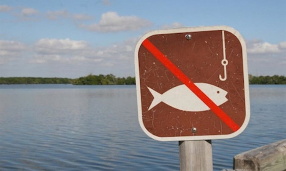 река Кошевая, запрет, рыба