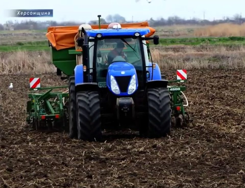 наклеп, інститут рису