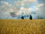 На Херсонщині після російського обстрілу загорілось поле пшениці