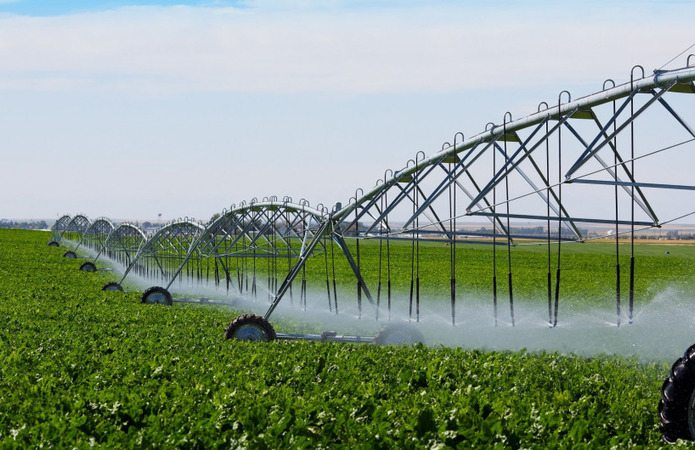 Херсонщина, отримає, державну, підтримку, відновлення, зрошення, урожайність, зросте, рішенню, Кабінету, Міністрів, ініційованому, Херсонською, ОВА, аграрії, області, підрив, Каховської, ГЕС, гектари, зрошуваних, земель