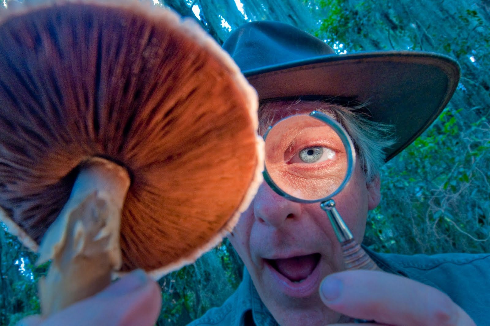 В Херсоне мужчина отравился галлюциногенными грибами