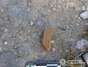Росіяни дистанційно замінували житлові квартали Херсона: поліція знешкодила "пелюстки" Росіяни дистанційно замінували житлові квартали Херсона: поліція знешкодила "пелюстки"