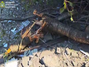 Ворог атакував житлові квартали Херсона — постраждали комунальники (ВІДЕО) Ворог атакував житлові квартали Херсона — постраждали комунальники (ВІДЕО)