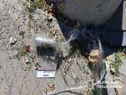 На Херсонщині за минулу добу загинули двоє людей та 13 отримали поранення