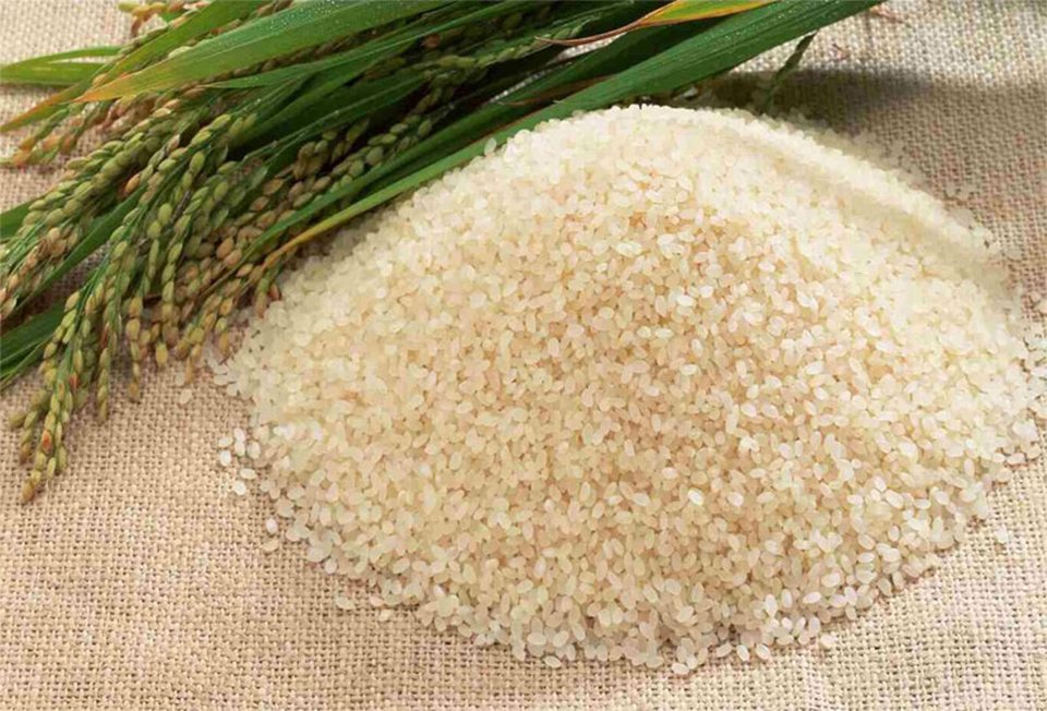 рис, зерно, врожай