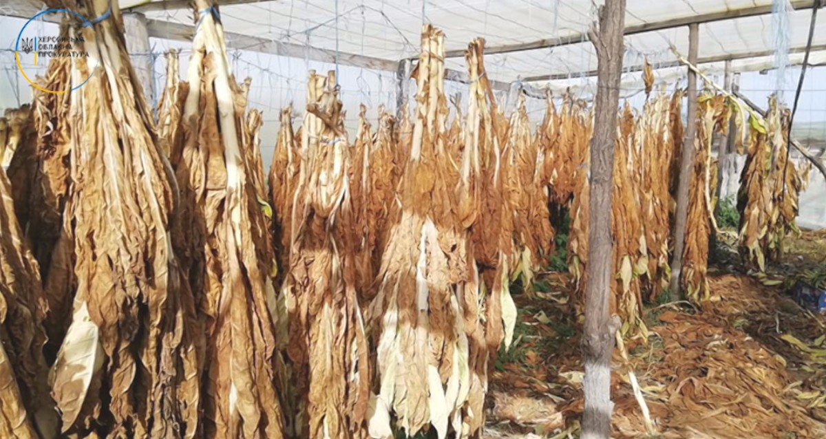 Скадовский район,прокуратура,табак