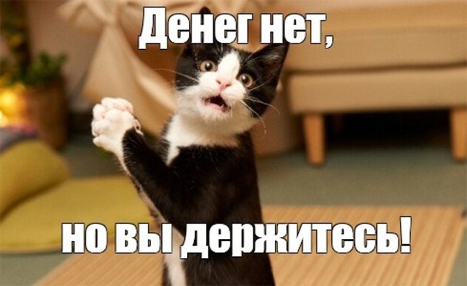 деньги, казначейство, Осолодкин