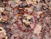 Херсонців попереджають про небезпечні міни у місті