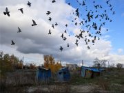 Росіяни обстріляли Корабельний район Херсона, постраждала жінка