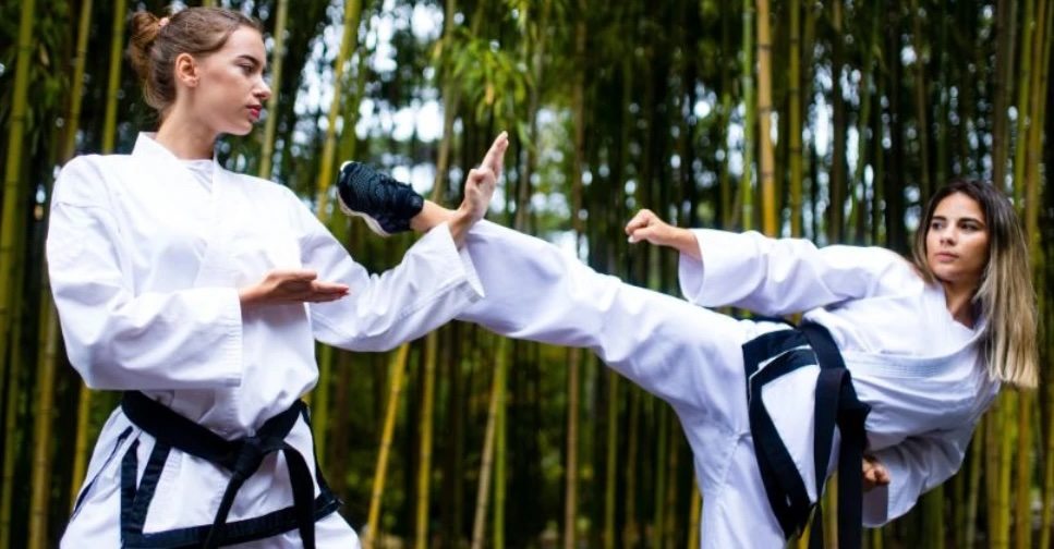 Популярні види єдиноборств